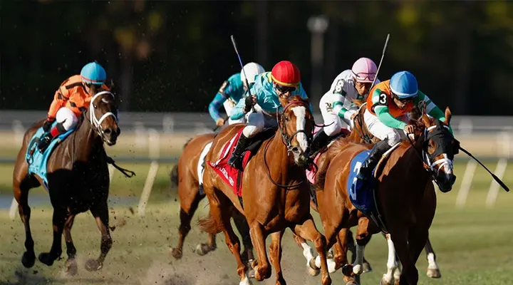2025 Tampa Bay Derby picks, odds: Horse racing writer has best bets for Saturday’s Kentucky Derby prep race